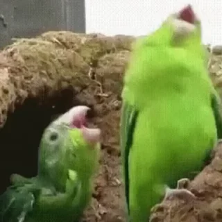🕺