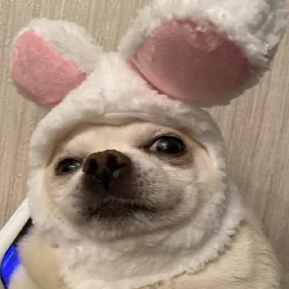 🙂