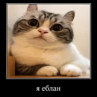 😁