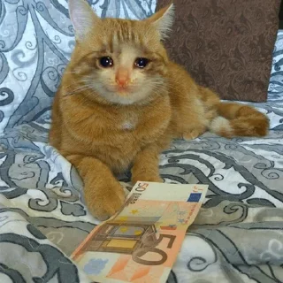 😭