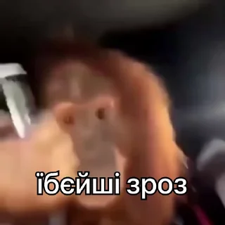 🥤