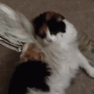 💰