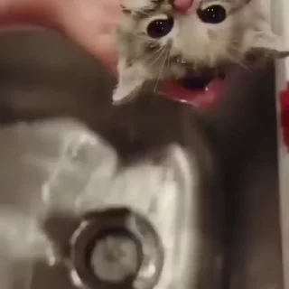 🧶