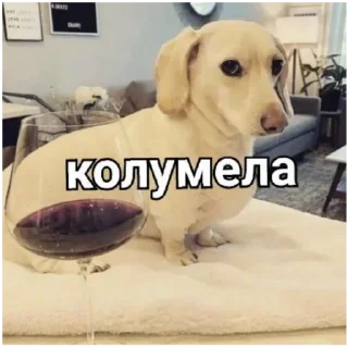 🪵