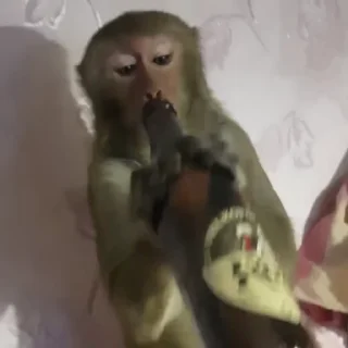 🍾