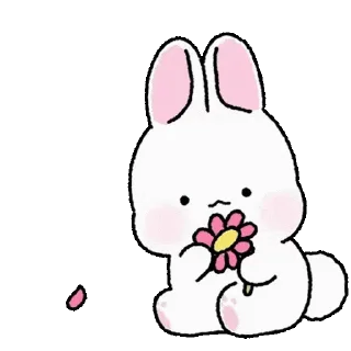 🌺