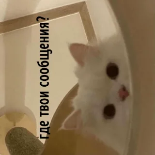 ⁉️