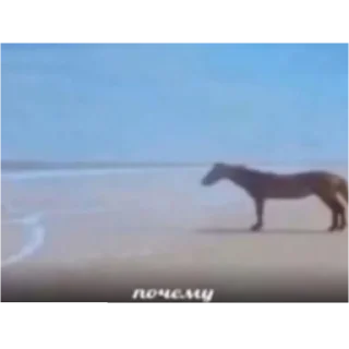 😩