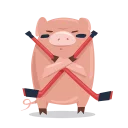 🐽