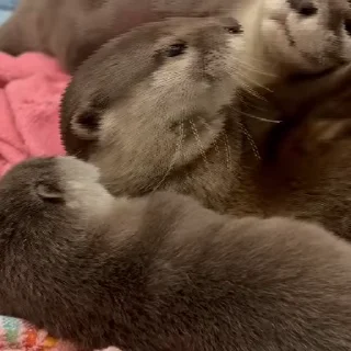 🤗