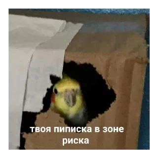 ☠️