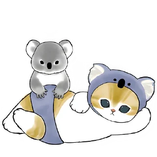 🐨