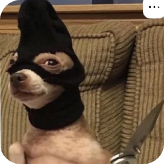 🎩