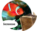 🐟