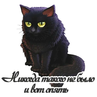 🐾
