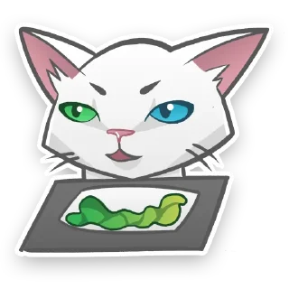 😾
