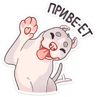 👋