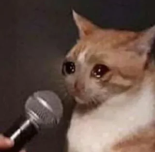 😭
