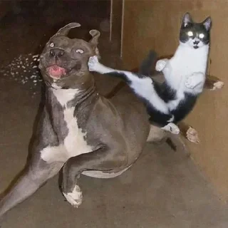 👊