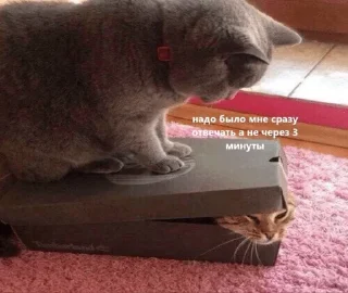🤠