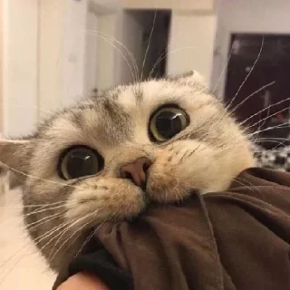 🙃