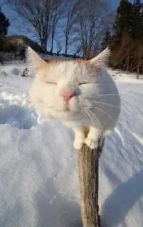 😄