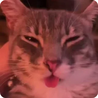 🪩