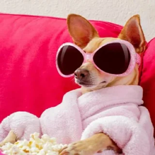 🐕