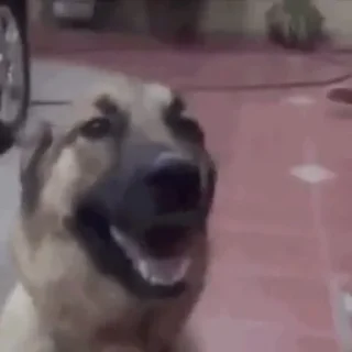 😀