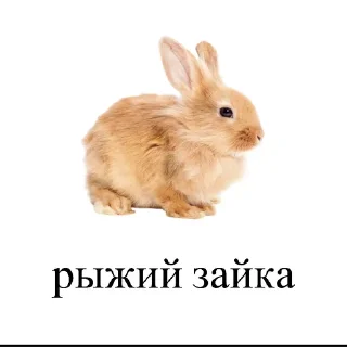 1️⃣