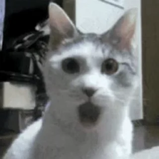 😱