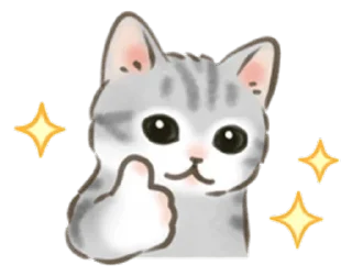 🐱