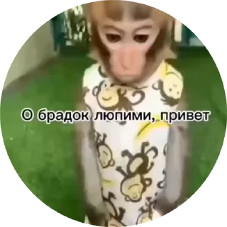🌟