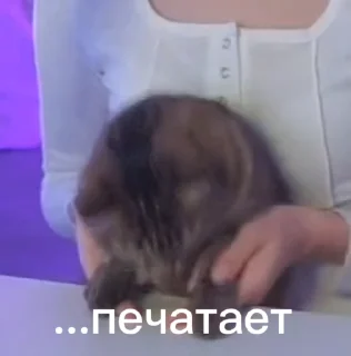 💬