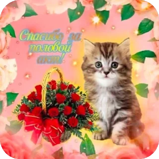 🌹