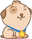 🐶