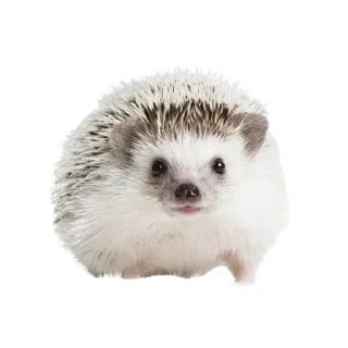 🙂