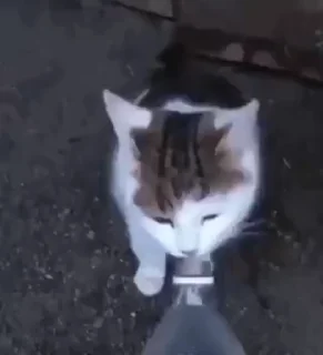🥲