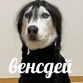 💀