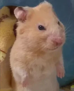 😒