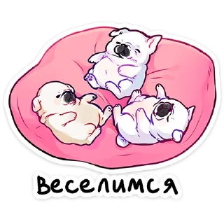 😴