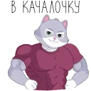 💪