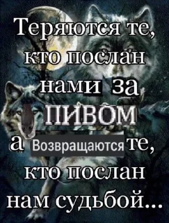 🐺