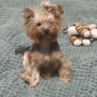🤨