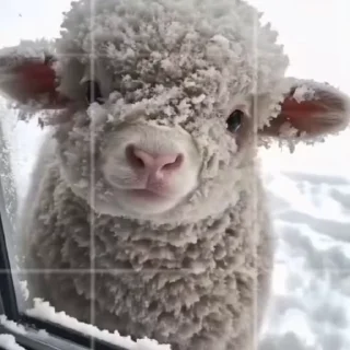 ☺️