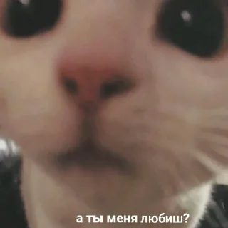 🥴