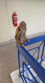 😁