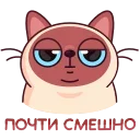😃
