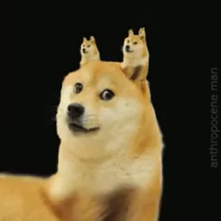 🤠