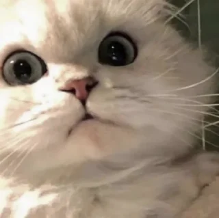 😐